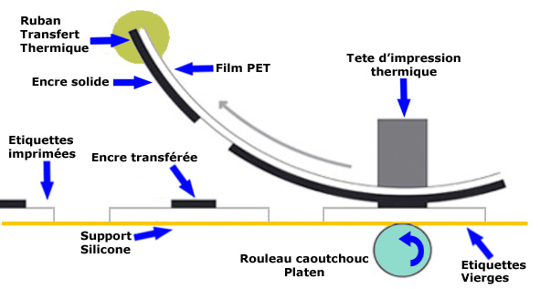 Kit de nettoyage pour tête d'imprimante transfert thermique